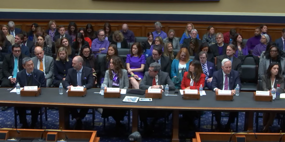 seven panelists sitting at long table at congressional hearing