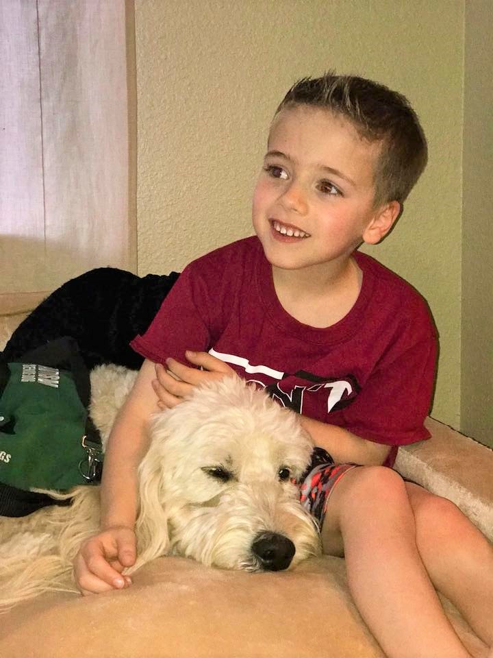 Jacob Hill Meets Taylor Swift 2 Yrs After She Buys His Service Dog