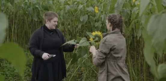 Photo of two women picking sunflowers in a field while on a date