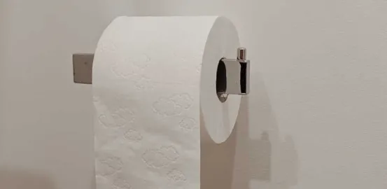 roll of toilet paper in the bathroom