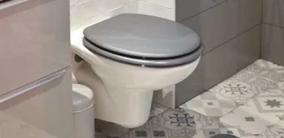 toilet in a grey bathroom