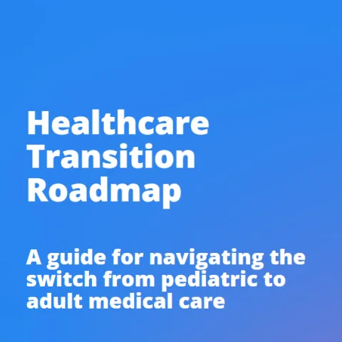 Healthcare Transition Roadmap
