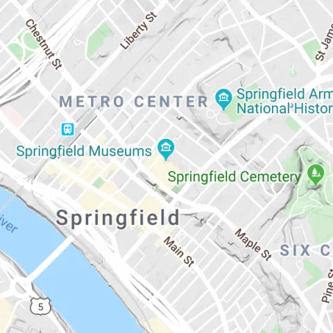 Springfield Museums