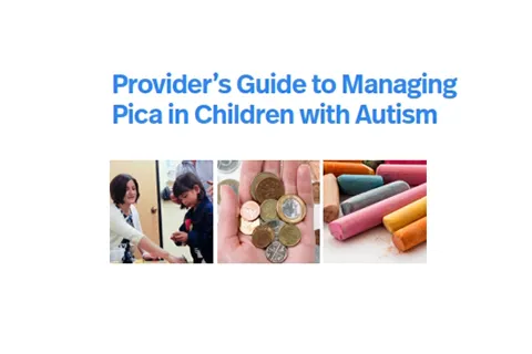 ATN/AIR-P Pica Guide for Parents