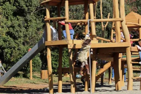 young children on a wooden playground