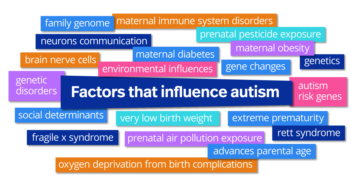 list of autism causes