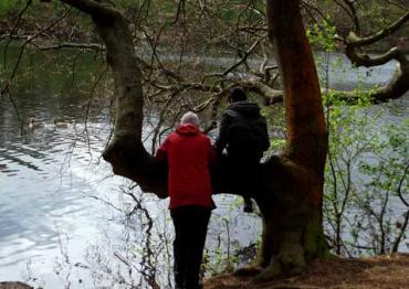 A father leaning on a tree and a son sitting in the tree and looking at a lake