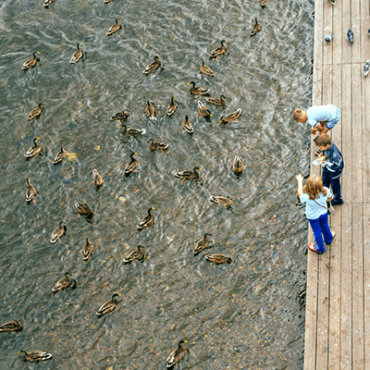 Children on a dock feeding ducks